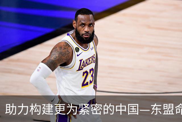 助力构建更为紧密的中国—东盟命运共同体